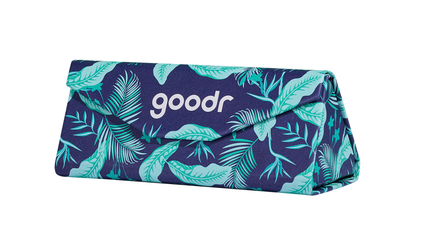 Folding Glasses Case