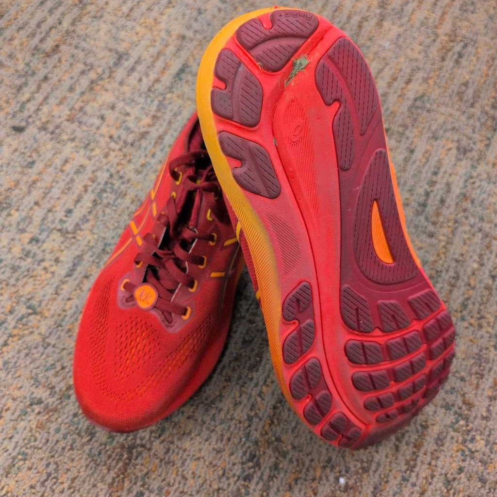 GEl Kayano 31 LTD