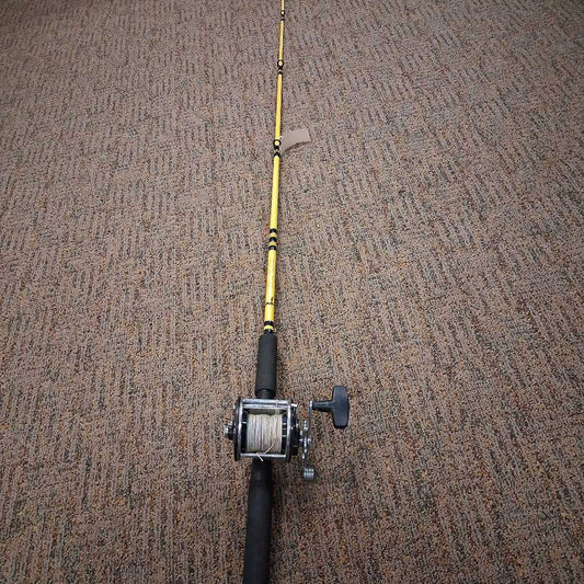 209 salt reel / Eagle Claw rod