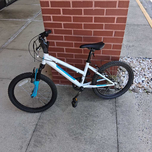 Pueblo 20 Youth Mountain/Trail Bike