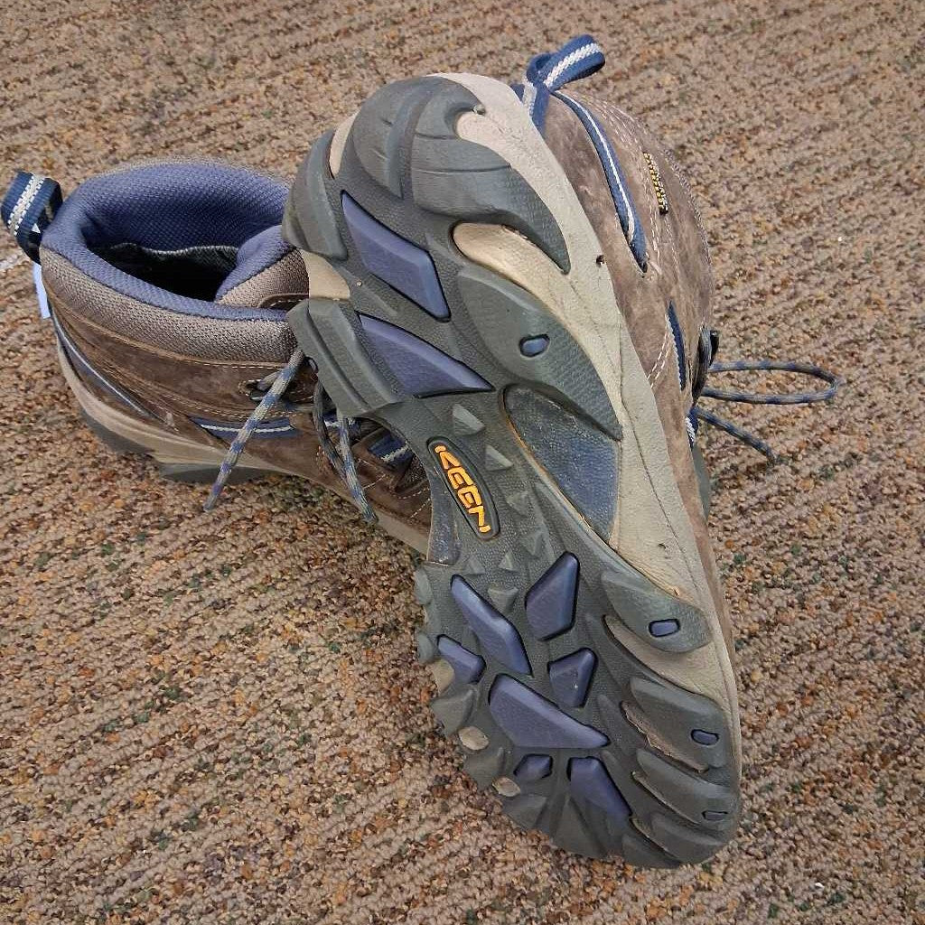 Targhee II Waterproof Mid Hiking Shoes